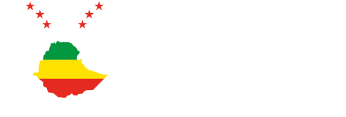 PM Abiy Ahmed