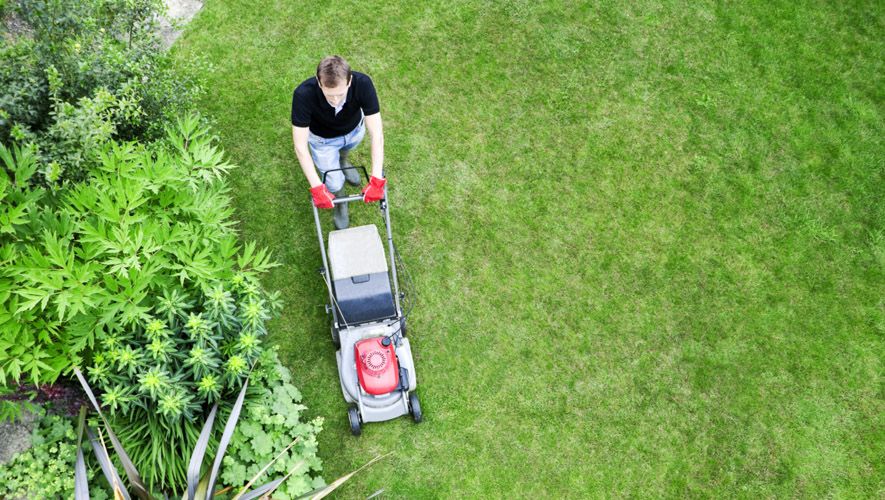 Gardener Perth WA