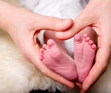 Cost of surrogacy