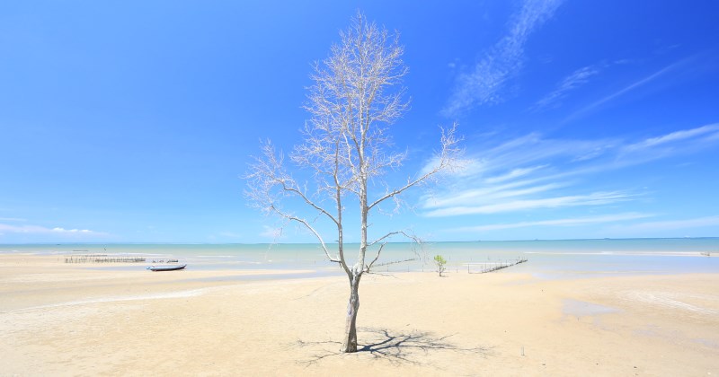 Wisata pantai Amal yang menarik dan lagi hits di Tarakan Kalimantan Utara 