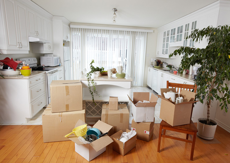 How to Know You Need a Moving Company Help or Not?
