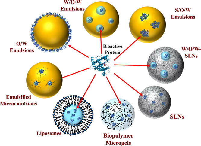 Clinical research applications for bioactive proteins and peptides are gaining in popularity