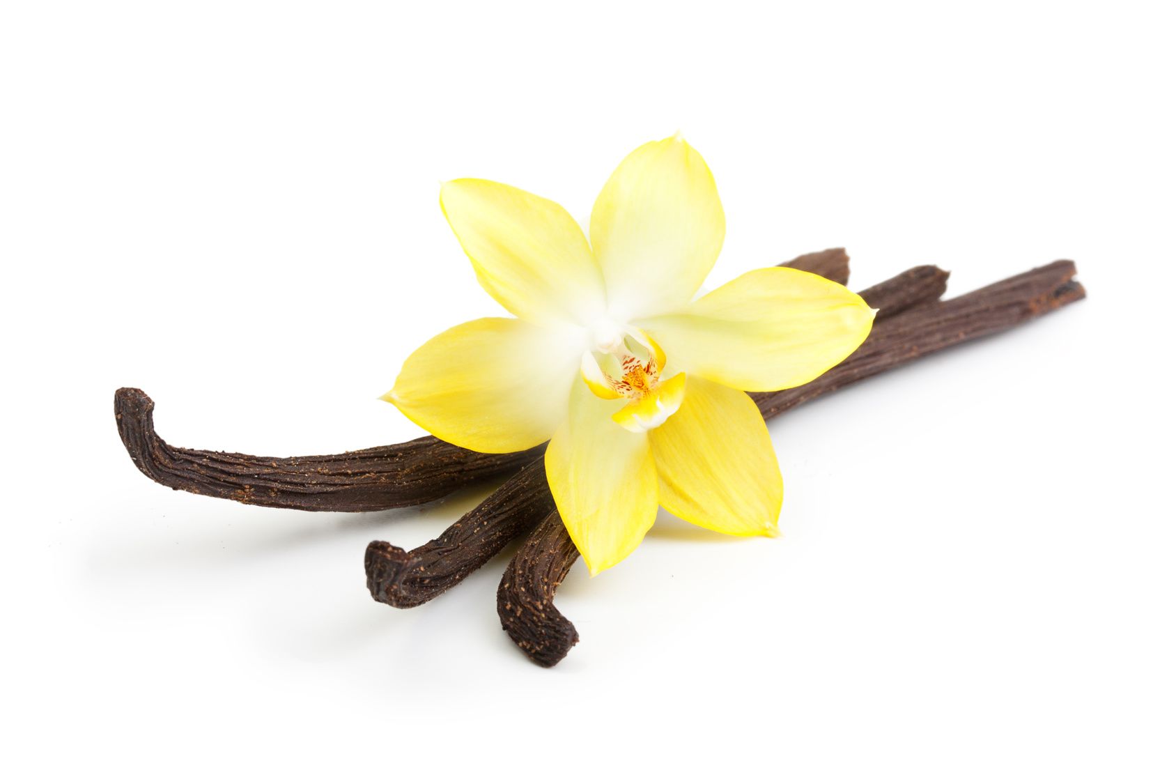 An intermediate in the synthesis of drugs is the molecular compound vanilla