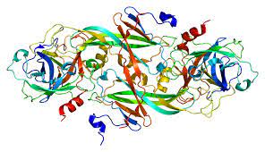 Global Coagulation Factor XI  Market Analysis | Industry Report 2027