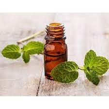 Global Spearmint Essential Oil Market Analysis | Industry Report 2027