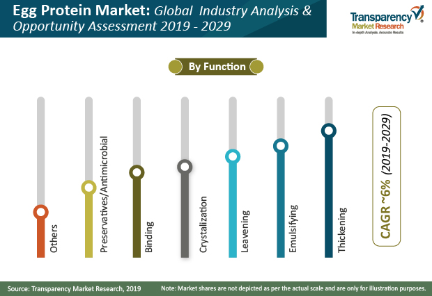 Global egg protein market to expand at a CAGR of 4.3% over 2018-2026 as bakery industry develops, finds TMR