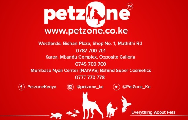 Buy Dog Supplies & Accessories | Dog Supplies in Kenya | Petzone