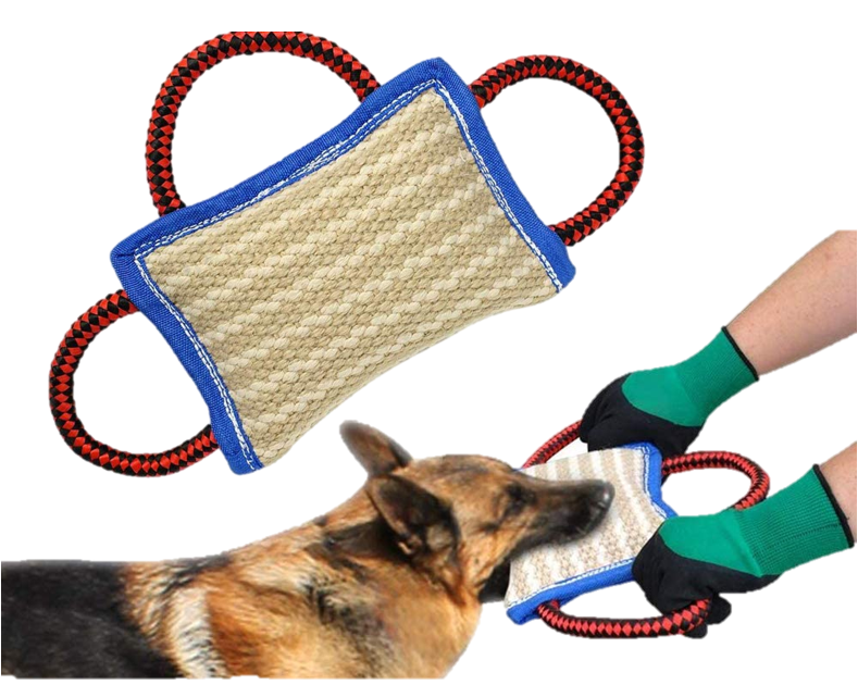 Buy Dog Training Supplies | Dog Training Accessories in Kenya | Petzone