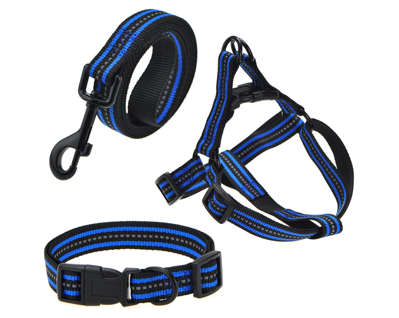 Buy Leash & Harness Sets for Dog and Puppies Online | Petzone