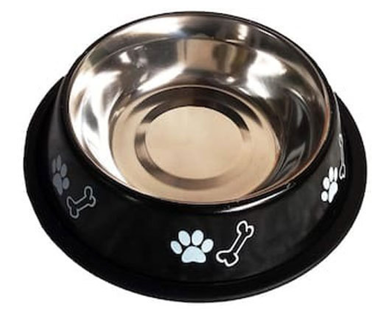 Dog Feeding Supplies | Dog Feeding Bowls and Scoops | Petzone