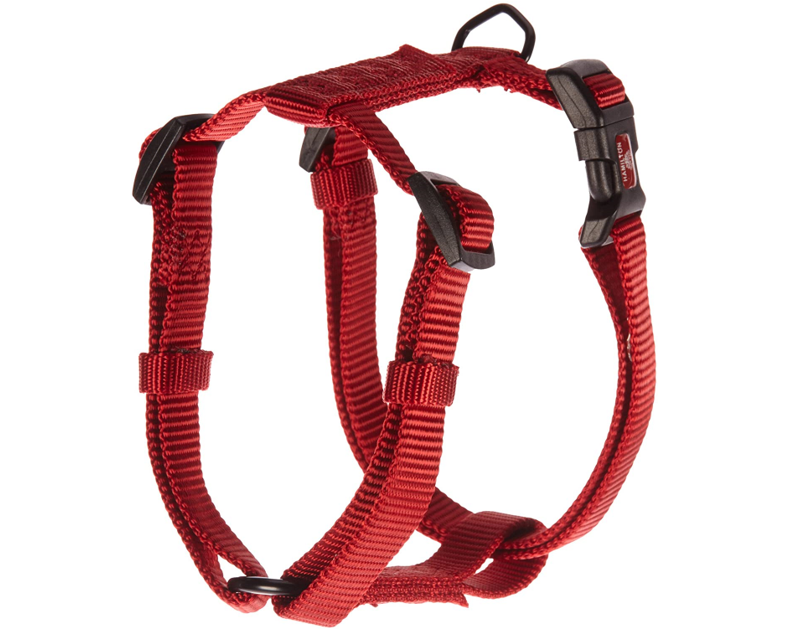 Buy Dog Harnesses Online | Buy Leather Harnesses for Dog | Petzone