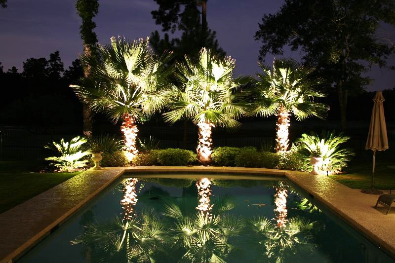 Increases Your Curb Appeal with Landscape Lighting