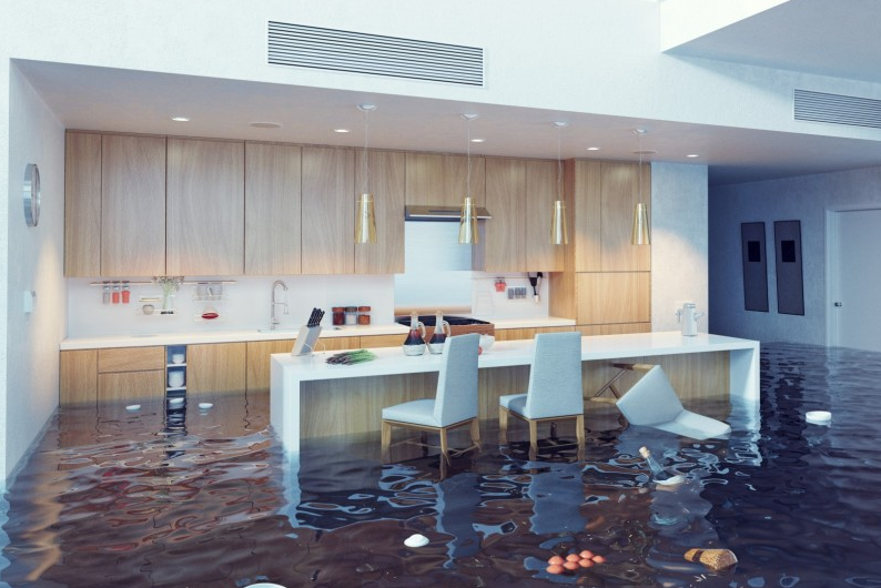 Benefits of Expert Water Removal Company