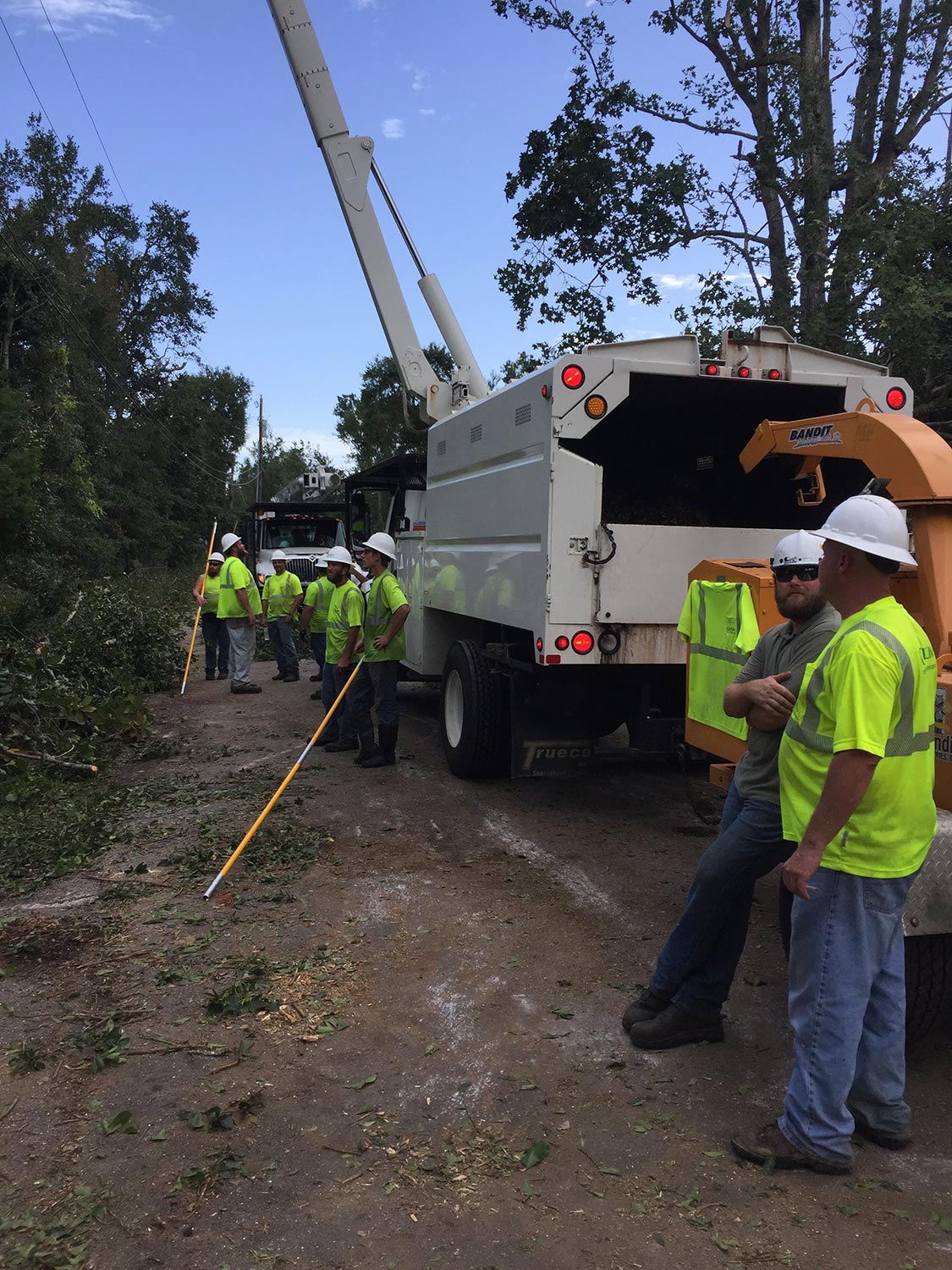 Tree Service Biloxi MS