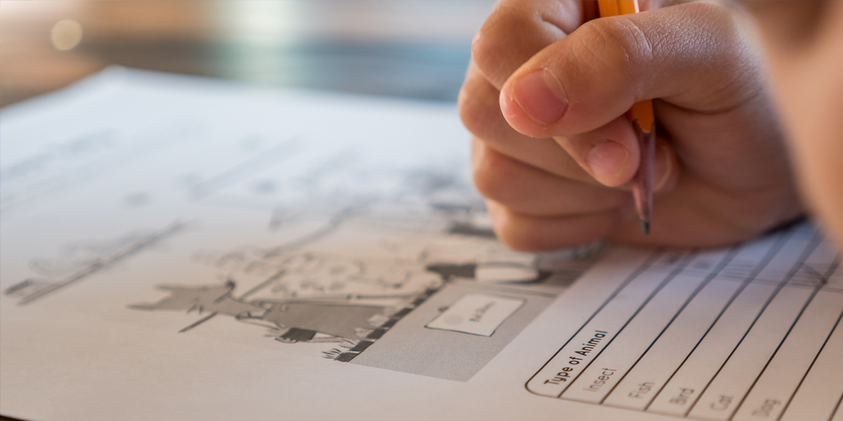 CAT Preparation Online: Utilize Your Time