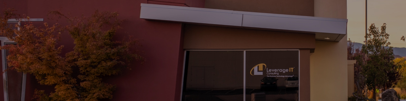 Why are Microsoft Office 365 Services Critical for Businesses Today?