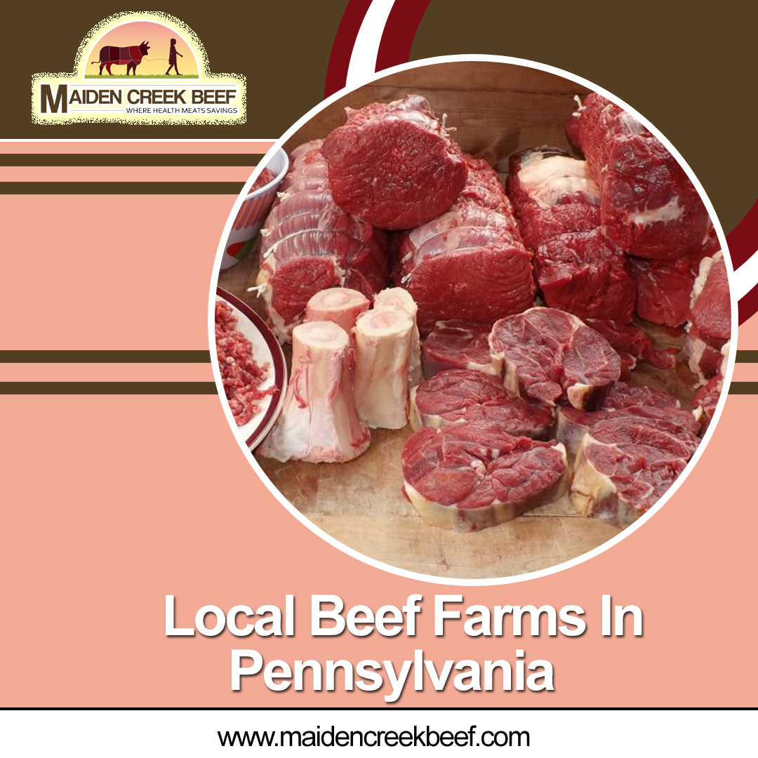 Questions to Ask When Looking for a Beef Farm in Pennsylvania