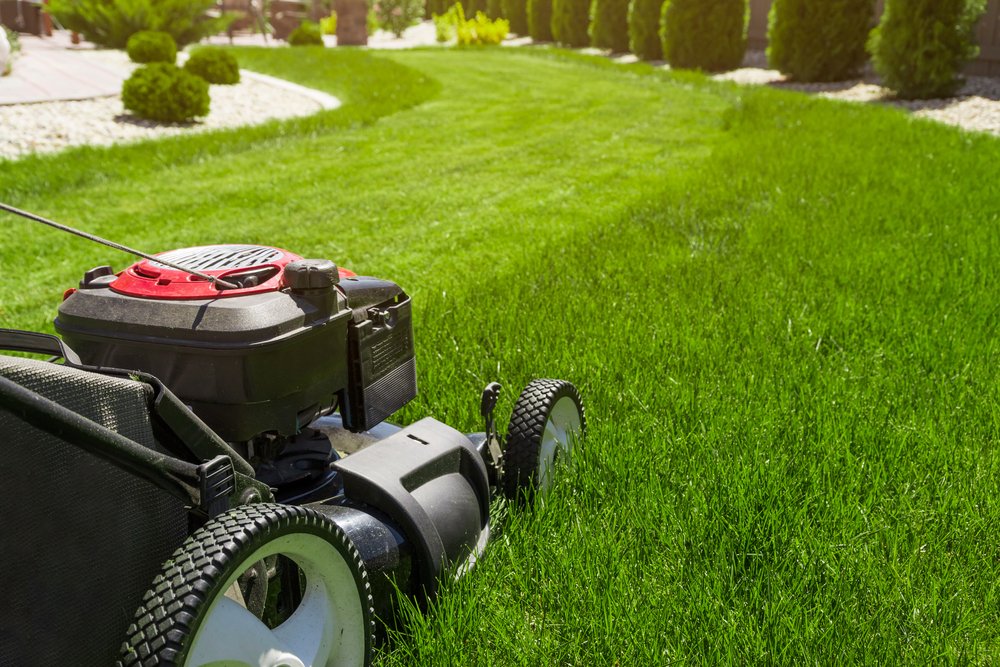 Opt For Ideal Lawn Mower Depending On To Your Needs