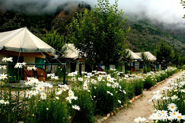 Best Camps in Himachal Pradesh “Tatva Bir”