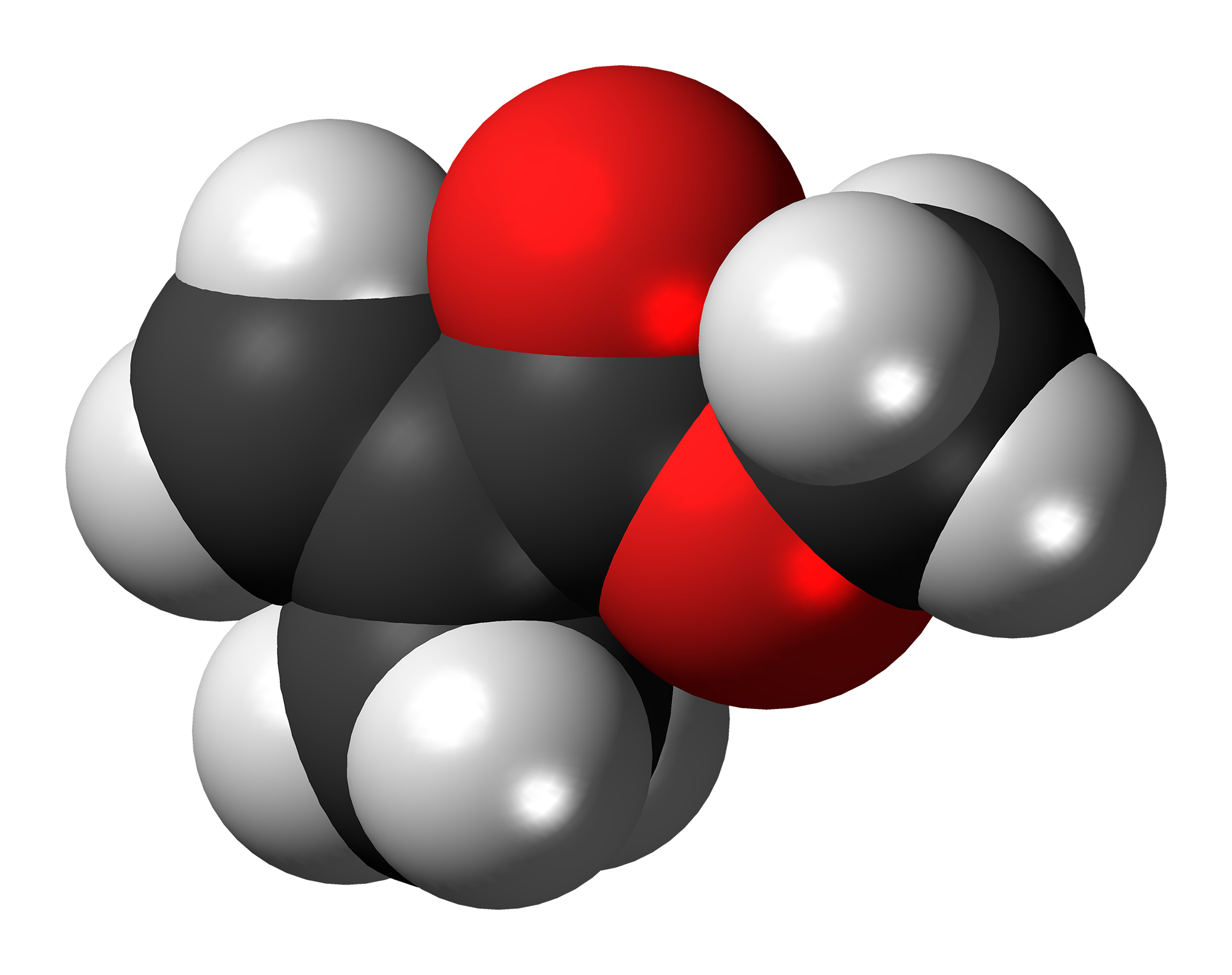 Methyl Methacrylate Market  to See High Growth in Upcoming Year by 2027, Fortune Business Insights™