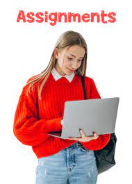 Get Online Homework Help USA In Our Virtual School