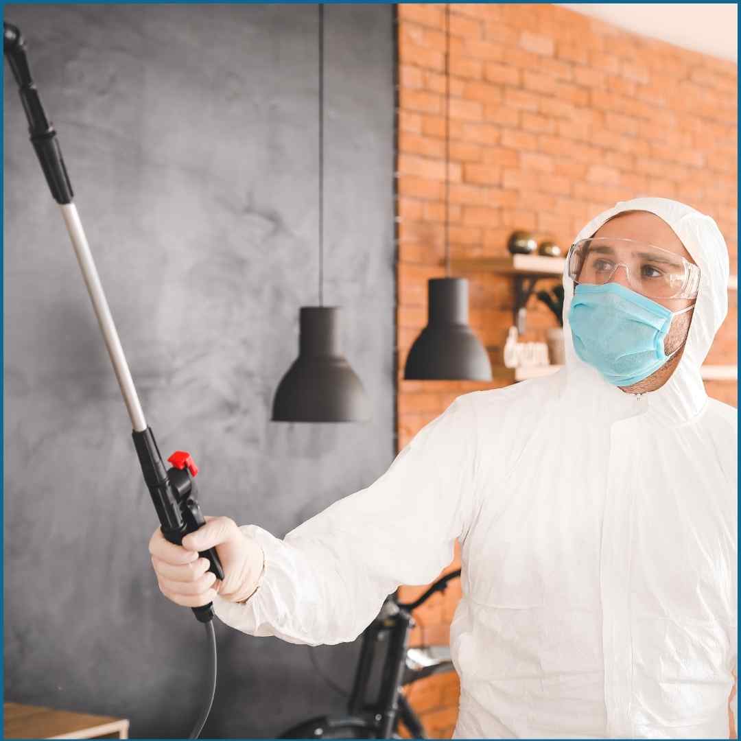 Best Home Sanitization in Mumbai