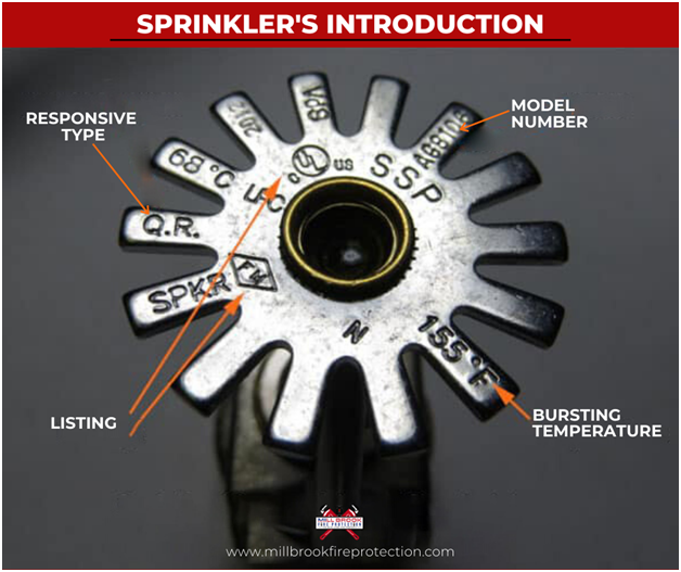 Fire Sprinkler Company Bronx