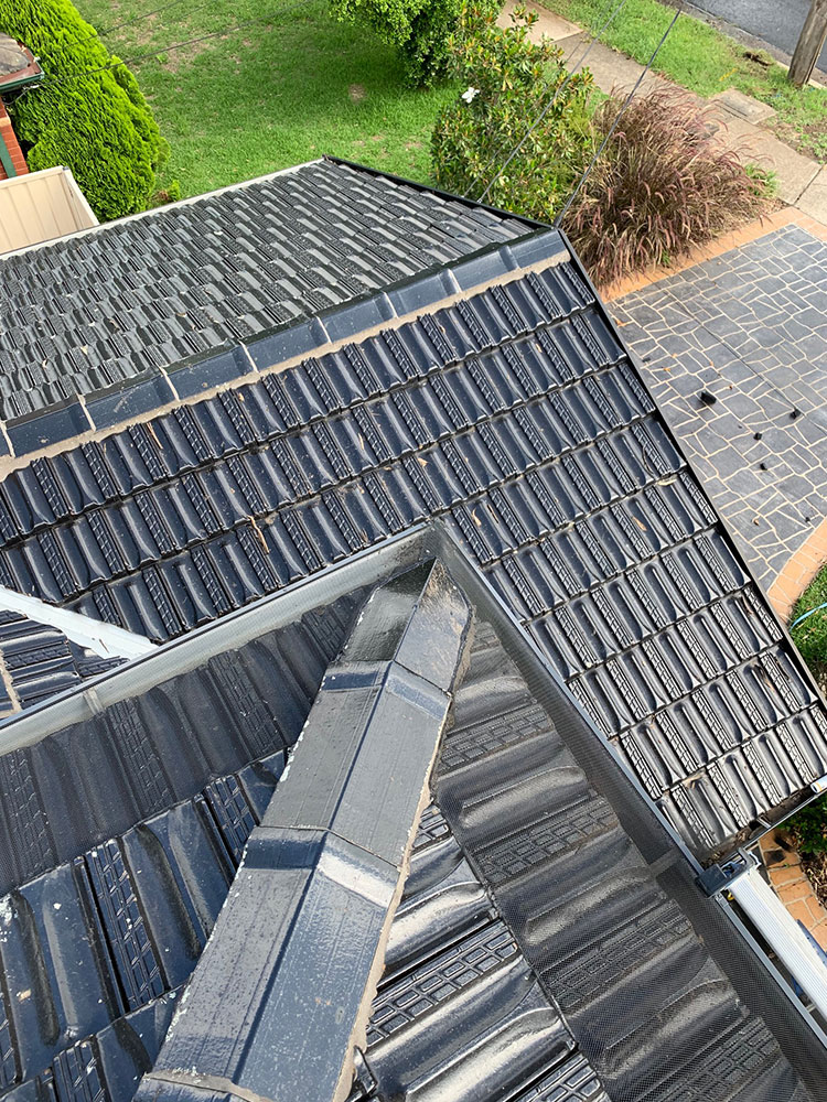 Are you searching for gutter cleaners in Sydney?