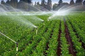 Drip Irrigation is Advantageous on Many Counts