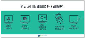 Seedboxes has made it workable for us to transfer and download films