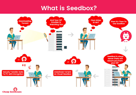 Seedbox - Know the Truth Behind Successful Sharing, Uploading and Downloading