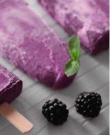 Food Ingredients Company