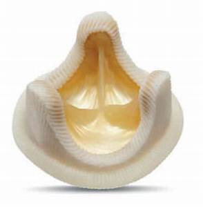 Mechanical Heart Valve|Heart Valve Disease