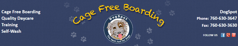 Why You Should Join Your Dogs In Dog Boarding Vista When You're Away From Home