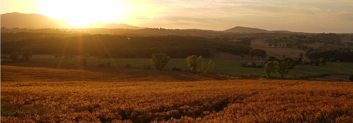 BioBag & The BioEconomy | Sustainable Materials & Production