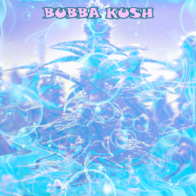 How to Maintain a Healthy Soil For Marijuana Seeds