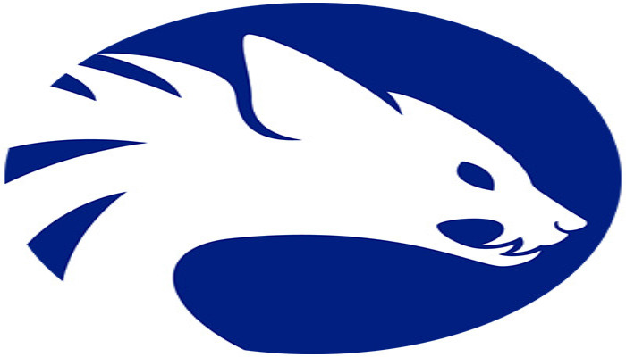 Pen Testing Companies UK