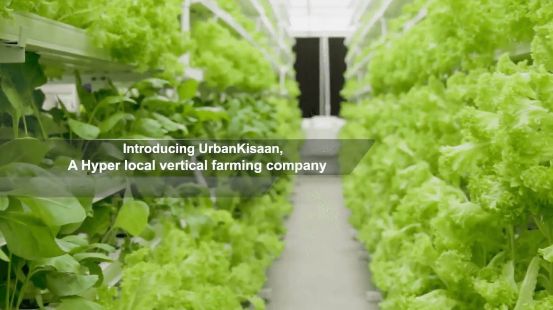 Organic stores in Hyderabad