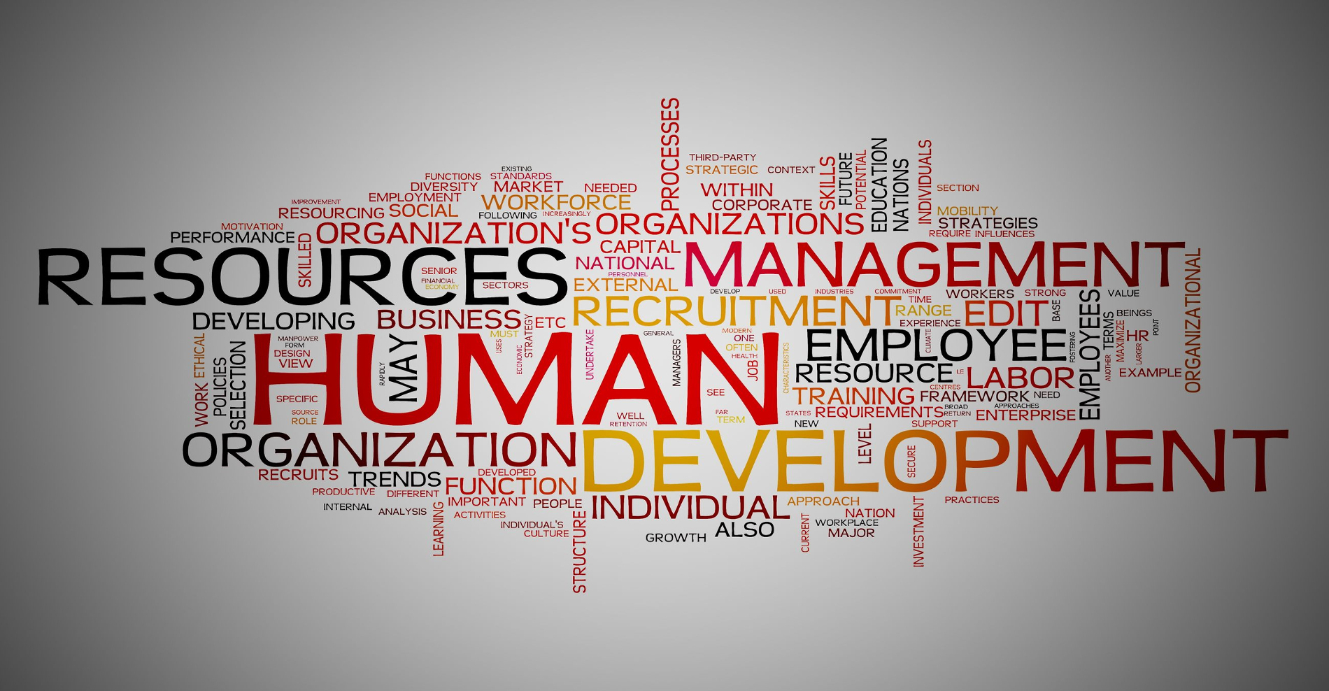 Best Human Resource Management Consulting | Learning & Development