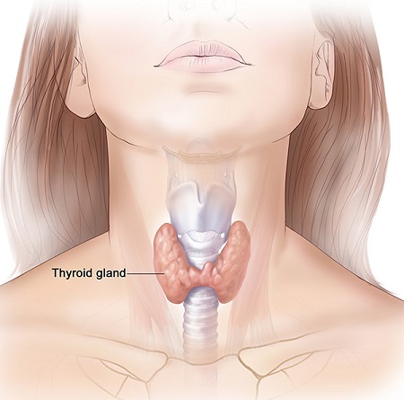 Thyroid Disorder Treatment in Ghaziabad
