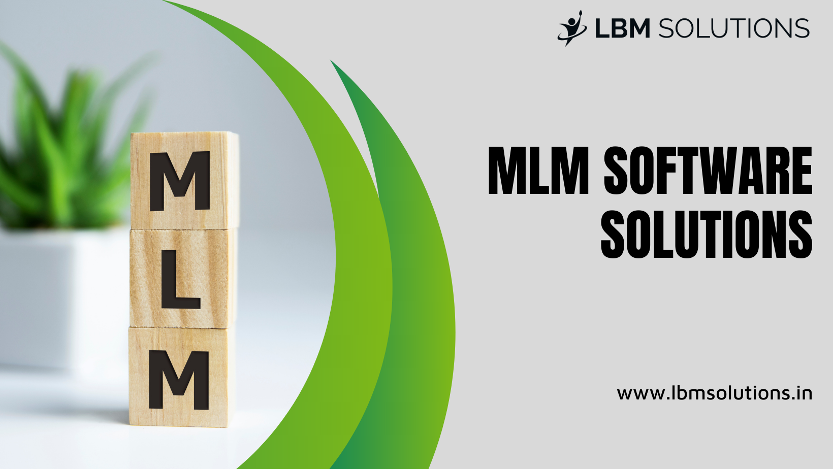 What should everyone know about MLM software solutions?