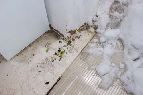 How to Prevent Winter Water Damage in Savannah, GA