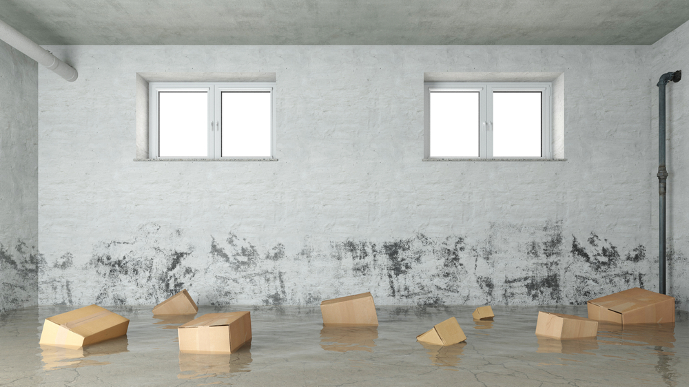 Emergency Steps to Take When Your Basement Floods in Savannah