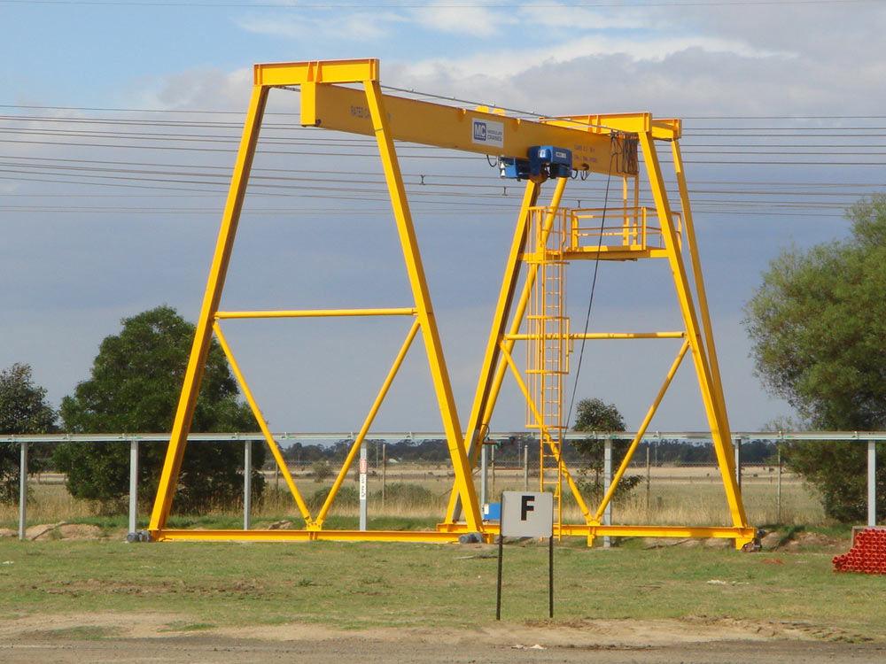 Cranes: Everything You Need to Know