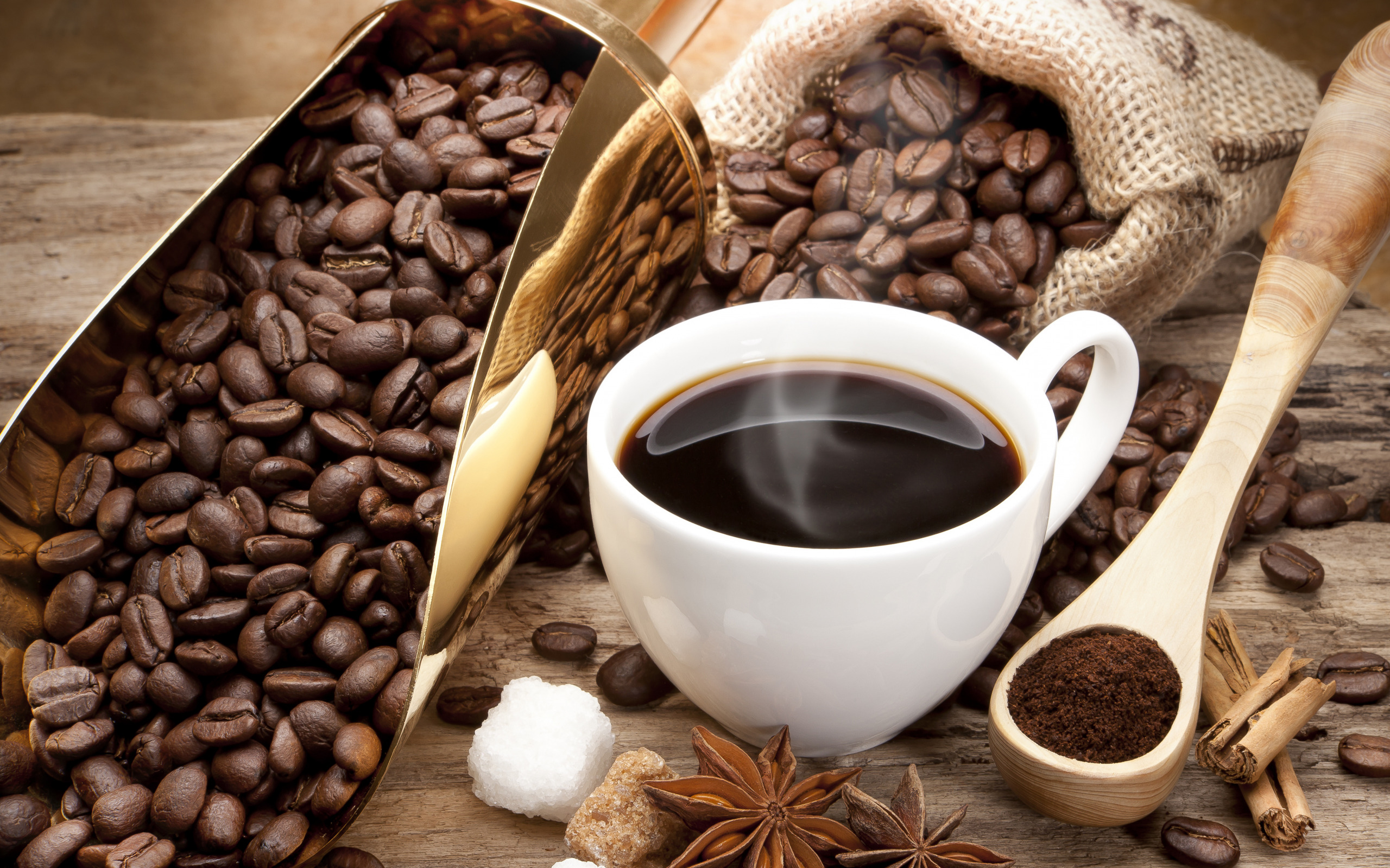 Exploring the Benefits of Wholesale Coffee Suppliers for Cafes