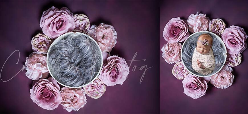Personalized Newborn Digital Backgrounds - Creative Photog