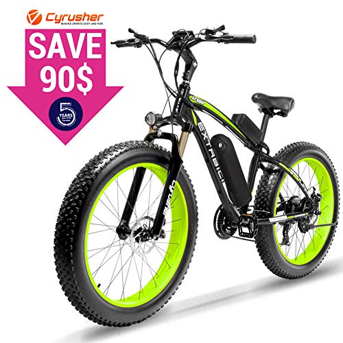 Fat tire electric bike