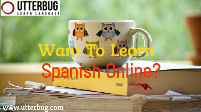 Learn Spanish Online