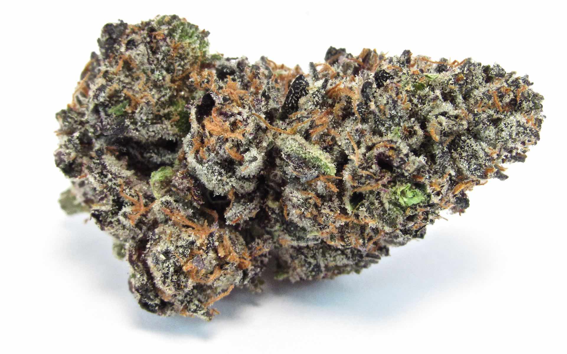 cherry punch strain