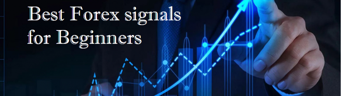 Best Forex signals for Beginners - Trade Forex Copier